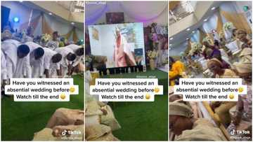 Groom and bride couldn't travel home, parents rent and decorate hall, watch them online via projector