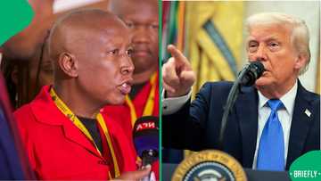 EFF president Julius Malema responds to Donald Trump calling for his arrest