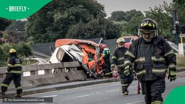 8 dead including 2 minors after head-on crash on N17 near Ermelo, Mpumalanga