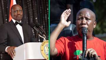 Kenyans upset as EFF leader Malema lambasts President Ruto: "Everything he said was true!"