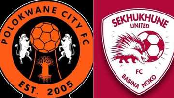 Polokwane City approaches Gauteng High Court in matter against Sekhukhune United