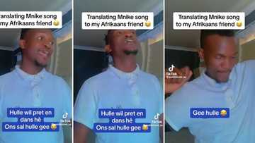 Vibey man translates amapiano hit song 'Mnike to Afrikaans, funny video leaves SA busting with laughter