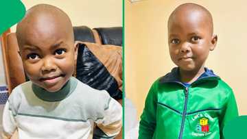 "This child is classic": Zuluboy explains why he speaks Xhosa when visiting the village, SA amused