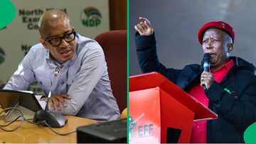 Deputy minister in the presidency responds to Julius Malema calling him a boy