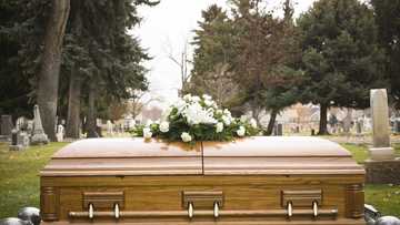 Before my mother died, she begged me not to let my sister near her coffin — Then I learned why