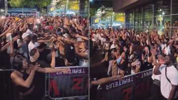 Amapiano set in France has crowd going wild, TikTok video shows how genre is taking over the world