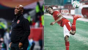 Brighton & Hove did not respect Percy Tau, according to coach Pitso Mosimane