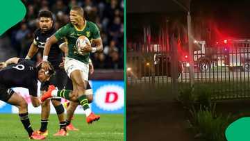 “I love my country!”: South Africa takes celebrations after Springboks win to the streets