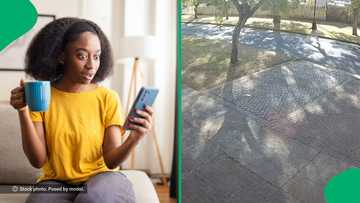 “We are doomed”: Viral video shows female jogger being mugged in broad daylight, South Africa reacts