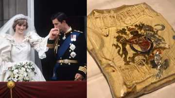 Prince Charles, Princess Diana’s 40-year-old royal wedding cake slice sells for R37 000