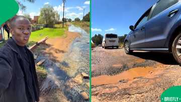 Emfuleni municipality conditions sparked outrage after viral video exposed sewage leaks, potholes and neglect