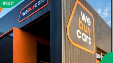 SA brothers behind WeBuyCars earn R28.7 million in 1 year