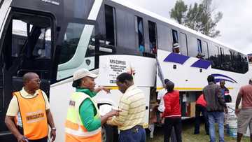 Welkom K9 unit arrests 15 illegal immigrants travelling on a bus without passports