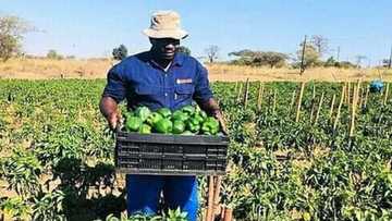 Local farmer went from back garden to hectares of farmland and employing 7 staff, inspires many