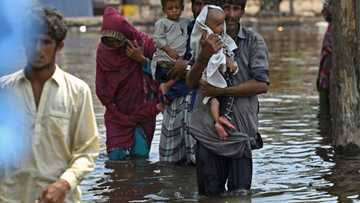 'A matter of honour': Women forced to stay in flooded Pakistan village