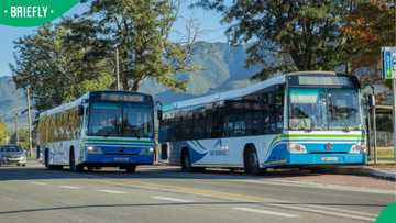 “A great initiative”: SA impressed by George Municipality’s free bus programme for job seekers