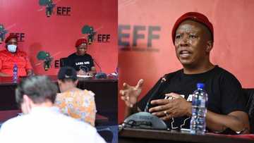 EFF believes Durban is a racist name for the city and wants it changed