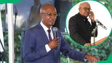 Who is Parks Tau? Key facts to know about SA's Trade Minister