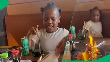 "Clever girl": Kid scared of dying after waiter sets sushi on fire in video, South Africa amused