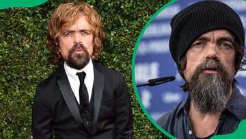 Peter Dinklage's net worth: what the 'Game of Thrones' star earns