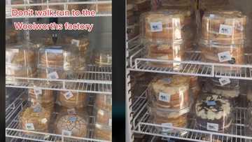 Woman discovers Woolworths' cake factory prices, SA appreciates the Johannesburg plug for sweet treats