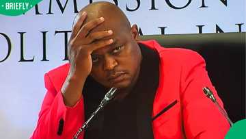 Brown Mogotsi faces possible perjury charges over deleted WhatsApp messages at Madlanga Commission