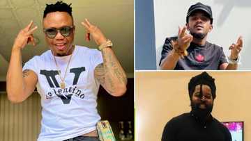 DJ Tira, Kabza De Small, Big Zulu & Focalistic get together for a chillas, SA convinced a new hit is coming