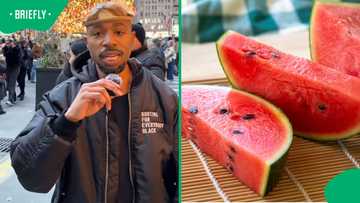 American compares SA and US watermelons, sparks debate on organic vs genetically modified fruit