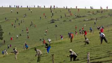 Kenya's history of disputed elections