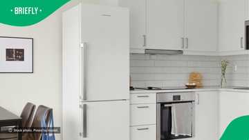 Empty fridge over Christmas breaks hearts in TikTok video