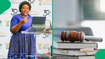 Department of Justice dismisses 54 officials during 2024/25 financial year, SA demands arrests