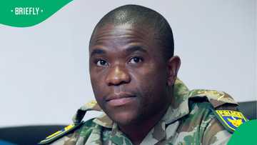 "Madiba is no longer here to quench the fire": MPs warn of unrest over Mkhwanazi