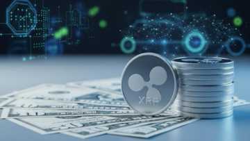 Siton Mining: Using XRP to Launch a BTC Miner, Earning $8,800 in Passive Income Daily