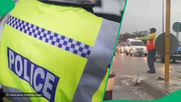 "He's our rainbow on rainy days": Excited traffic officer makes Mzansi's day with his energy