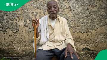Kraaifontein pensioner Turns R350 Sassa Grant into a r20,000 micro-Farm