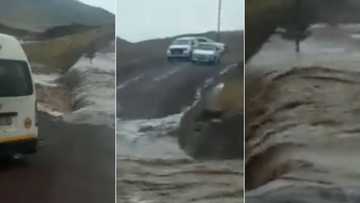 Haibo: EC lady begs Fikile Mbalula to build a bridge for flooded road, shares video