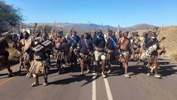 Zulu king denies sending Amabutho to Nkandla to defend Zuma