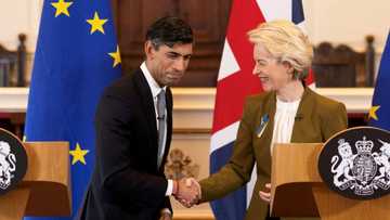 UK rejoins key European science programme after post-Brexit row