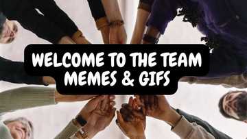 30 best welcome to the team memes and GIFs for new team members