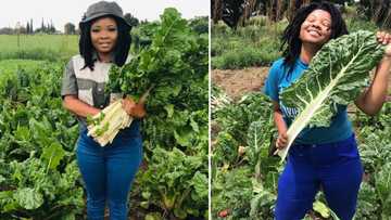 Spinach farmer opens up about her love of agriculture, proudly shows off harvest