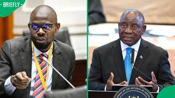 Parliament's impeachment committee votes to appeal order halting hearings into President Ramaphosa