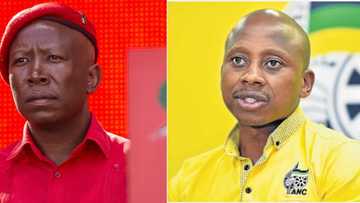 Julius Malema feels for disgraced Andile Lungisa after berating at PE taxi ranks