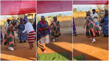 Making 'sturdy' moves: Old women in sneakers dance with energy, their video surprises many young people