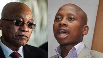 Jacob Zuma: Andile Lungisa gives ConCourt ultimatum, release Zuma or else