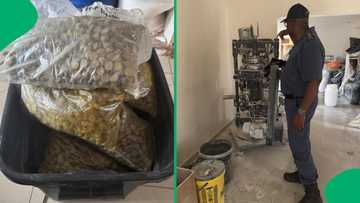 Gauteng SAPS bust R4.5 million drug lab, South Africans believe suspects were tipped off before raid