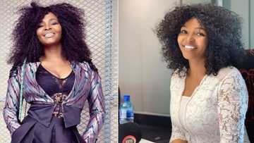 Simphiwe Dana calls out Ramaphosa on entertainment industry downfall