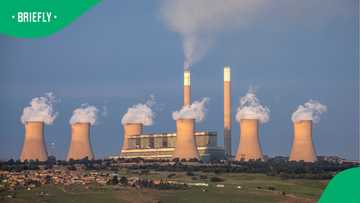 Supreme Court rules against Eskom, coal and diesel contracts must be disclosed to public