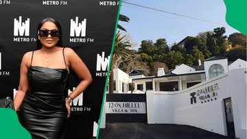 Fact Check: Why Is Lerato Kganyago’s Name Linked to the Madlanga Commission Probe?