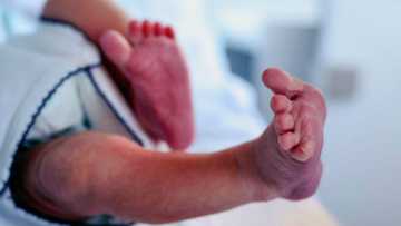 Gauteng public healthcare facilities celebrate the births of 112 babies on New Year's Day, SA stunned