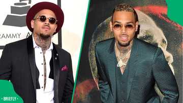 US singer Chris Brown released on R120 million to perform world tour following his arrest in the UK